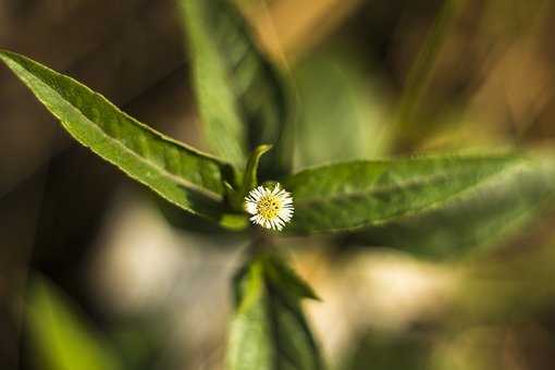 裸婚你真的準備好了嗎?女人裸婚好處和壞處的詳細分析