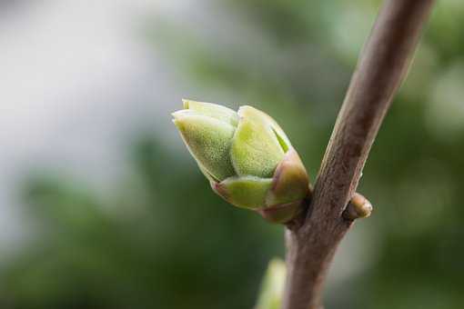 婚前常自虐 可能有暴力倾向