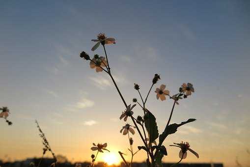 《花花酱》：如何正确地看待同性恋？