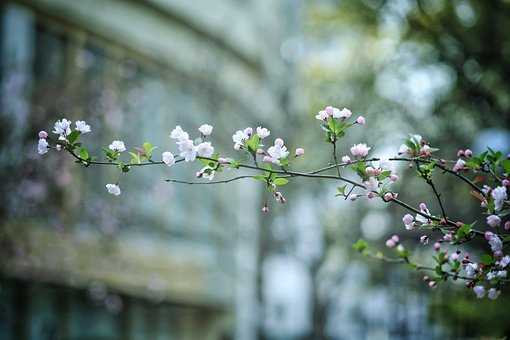 婚姻情感家庭矛盾中，婚姻矛盾如何解决