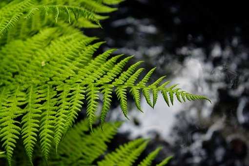 冷爱观点:情绪价值在恋爱关系中的重要性 冷爱观点:情绪价值在恋爱关系中的重要性